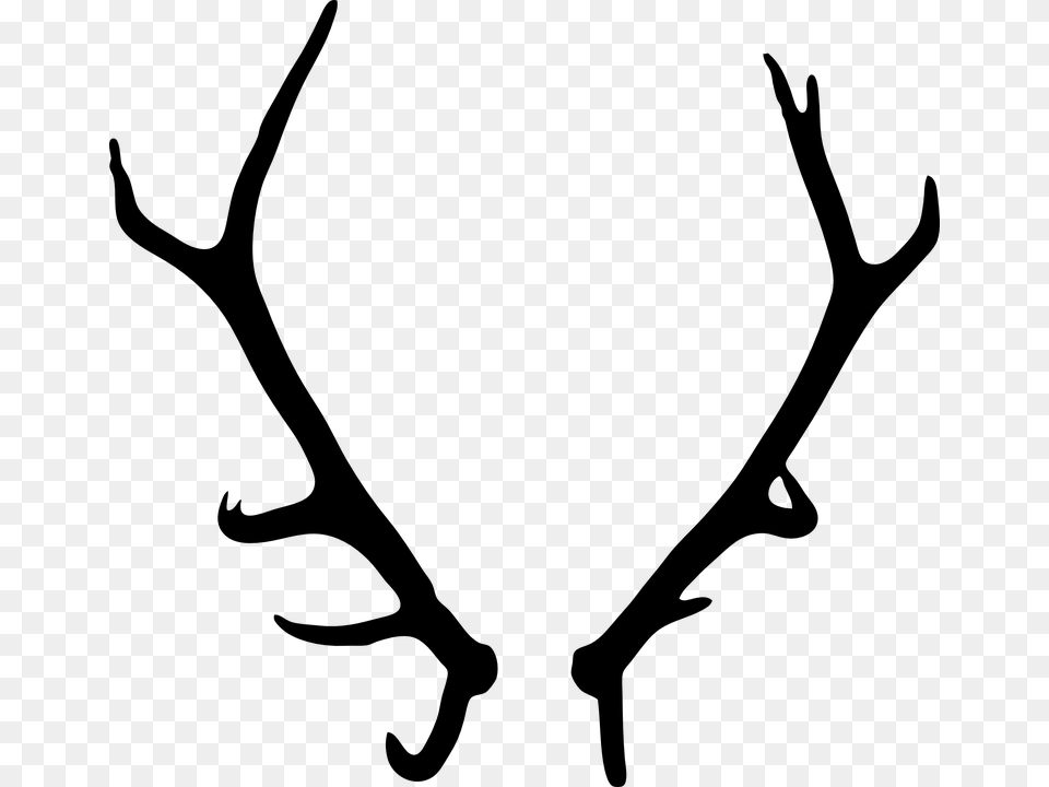 Antler Clipart Wildlife Transparent Background Antlers, Gray Free Png Download