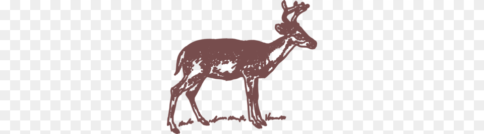 Antler Deer Skull Clipart, Animal, Mammal, Wildlife, Baby Free Png