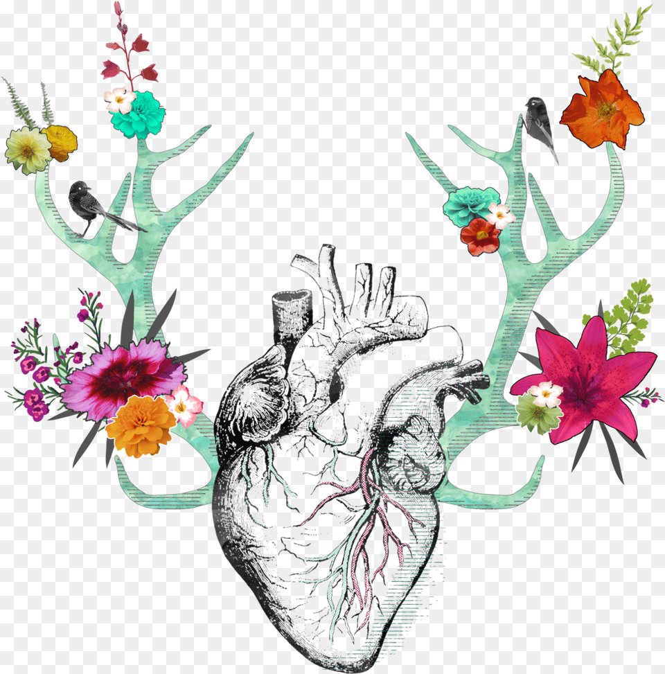 Antler Heart, Art, Floral Design, Graphics, Pattern Png