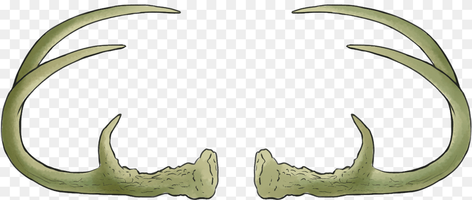 Antler Overlay Png Image