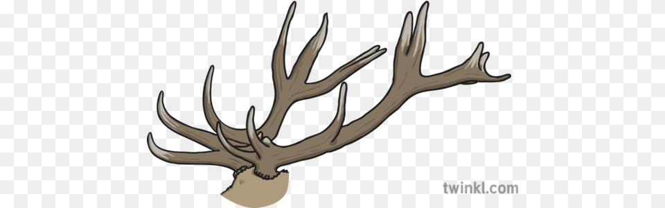Antlers Illustration Twinkl Elk, Antler, Smoke Pipe Png