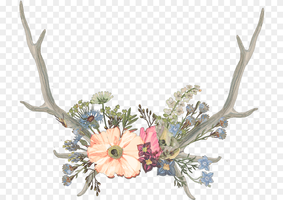 Antlers Sticker Aesthetic Flower Crown Icon, Plant, Pattern, Graphics, Flower Arrangement Png