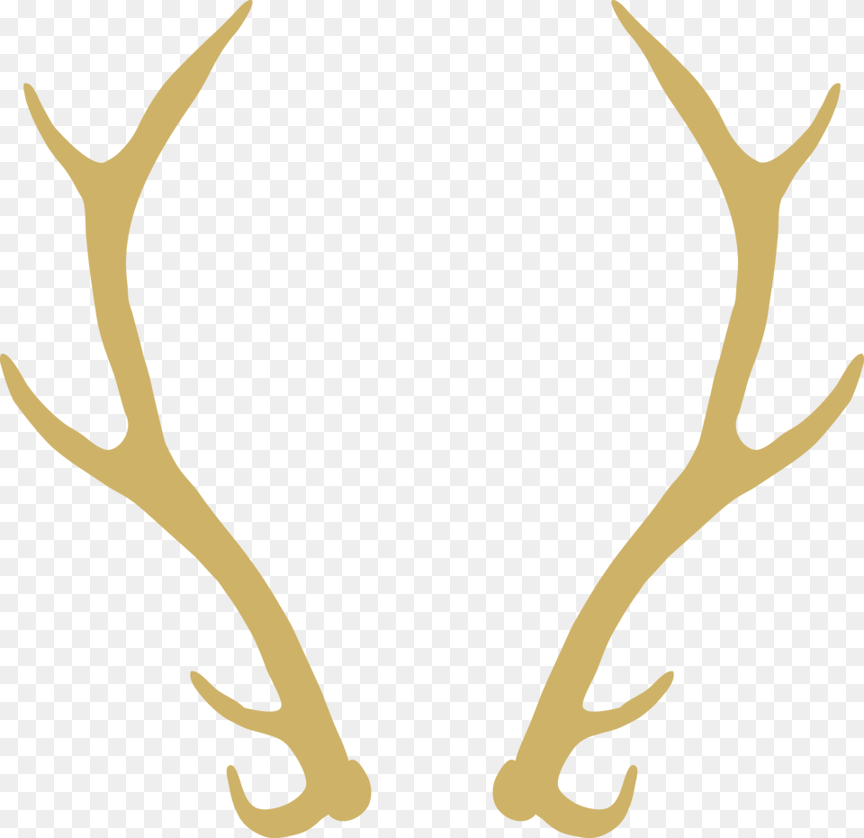 Antlers With Flowers Clipart Freeuse Stock Huge Elk Wreath, Antler, Animal, Kangaroo, Mammal Free Png Download