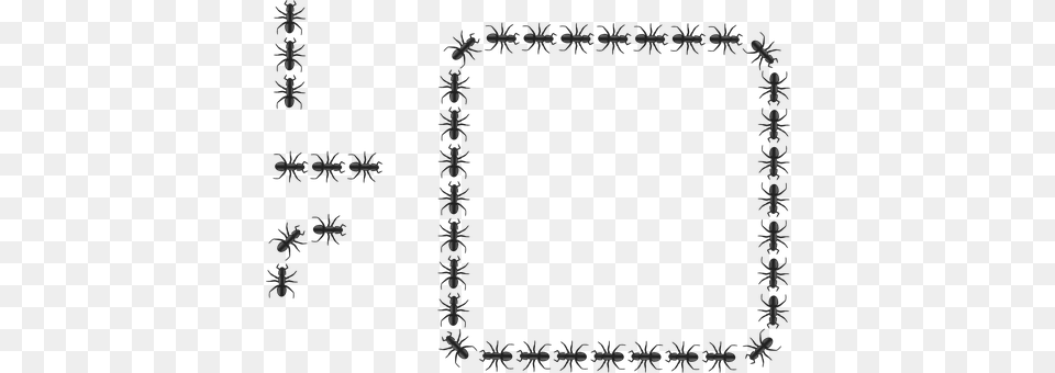 Ants Accessories, Nature, Outdoors, Snow Png Image