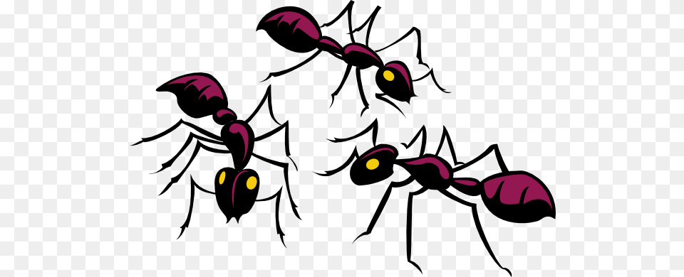 Ants Clip Art, Animal, Ant, Insect, Invertebrate Free Png Download