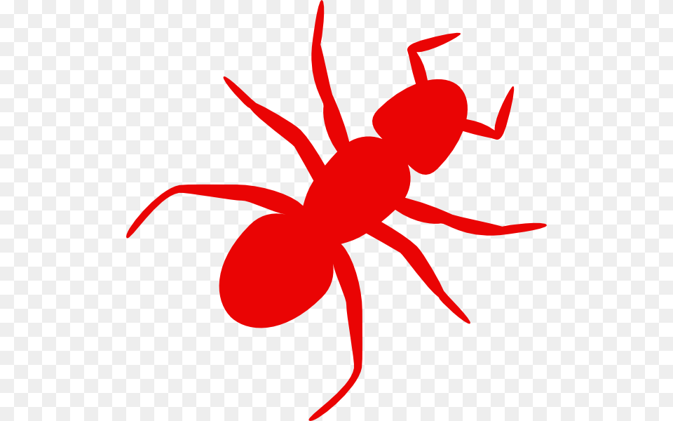 Ants Clip Art, Animal, Ant, Insect, Invertebrate Free Png