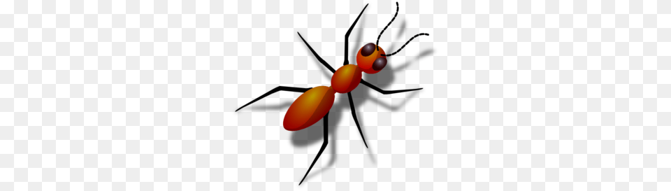 Ants Clip Art, Animal Free Png Download