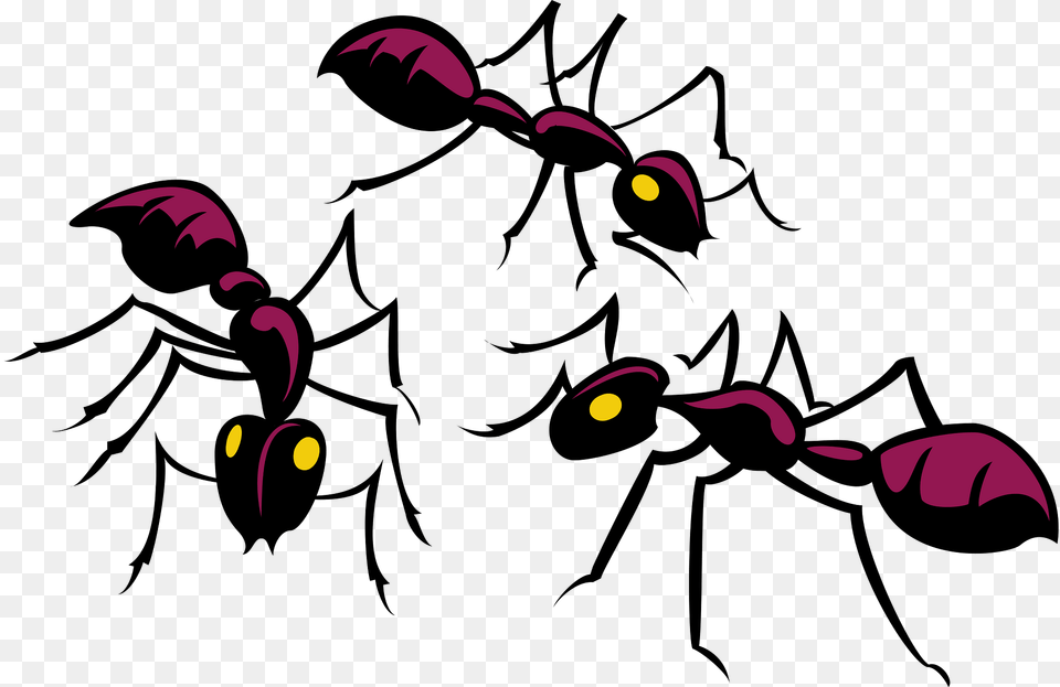 Ants Clipart, Animal, Ant, Insect, Invertebrate Png Image