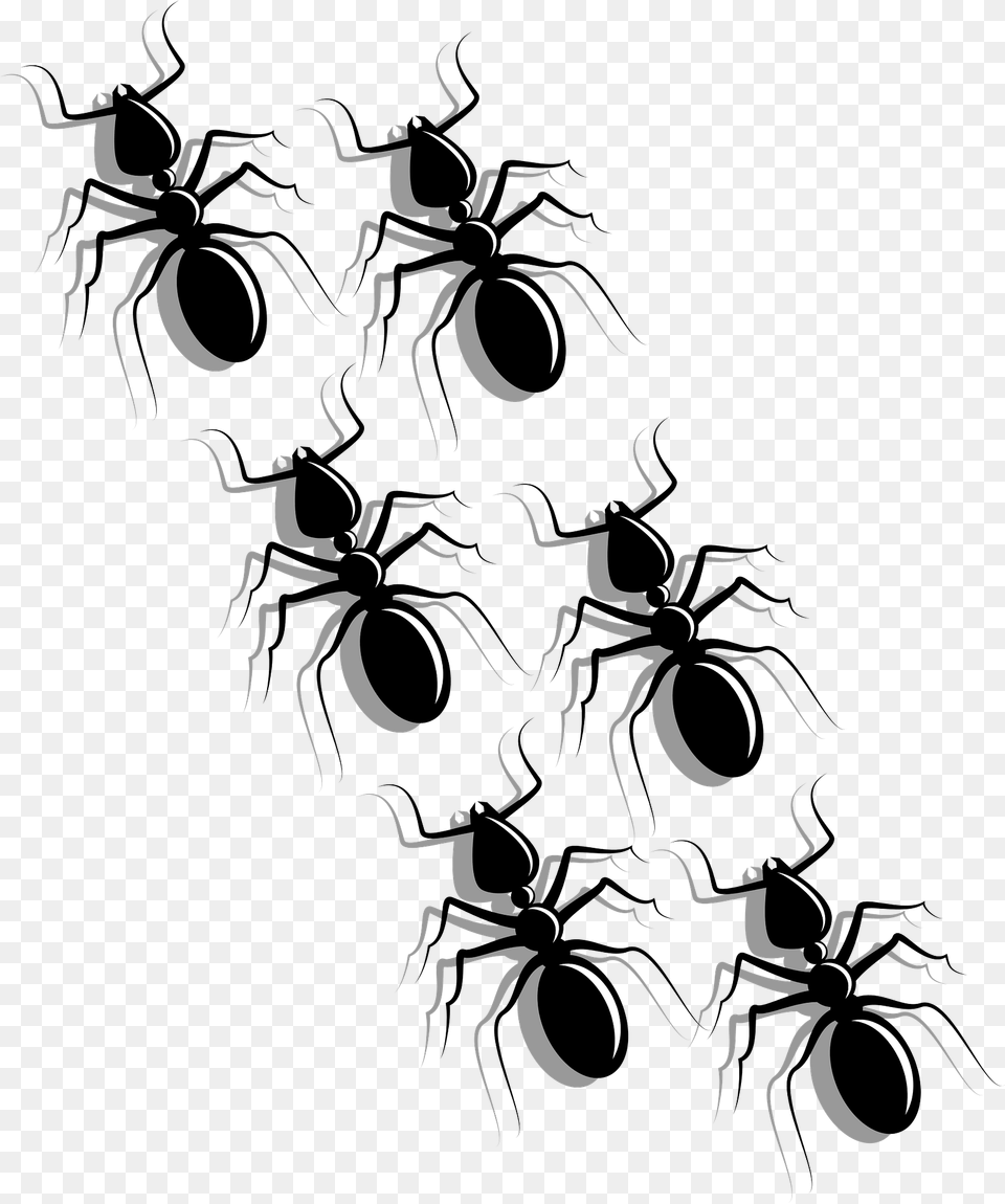 Ants Clipart, Animal, Ant, Insect, Invertebrate Png Image