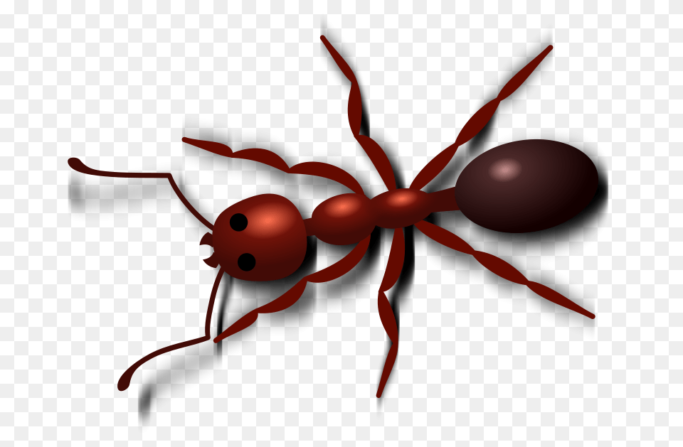 Ants Clipart Line Clip Art, Animal, Ant, Insect, Invertebrate Free Png Download