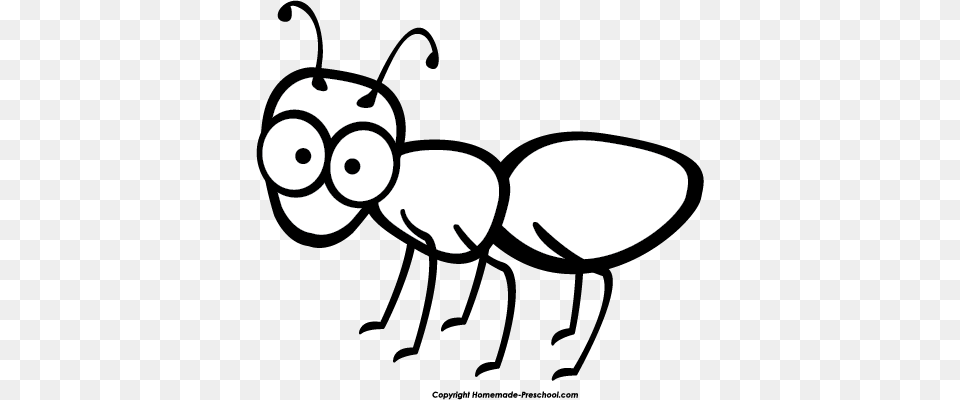 Ants Clipart Line Clip Art, Animal, Ant, Insect, Invertebrate Free Png
