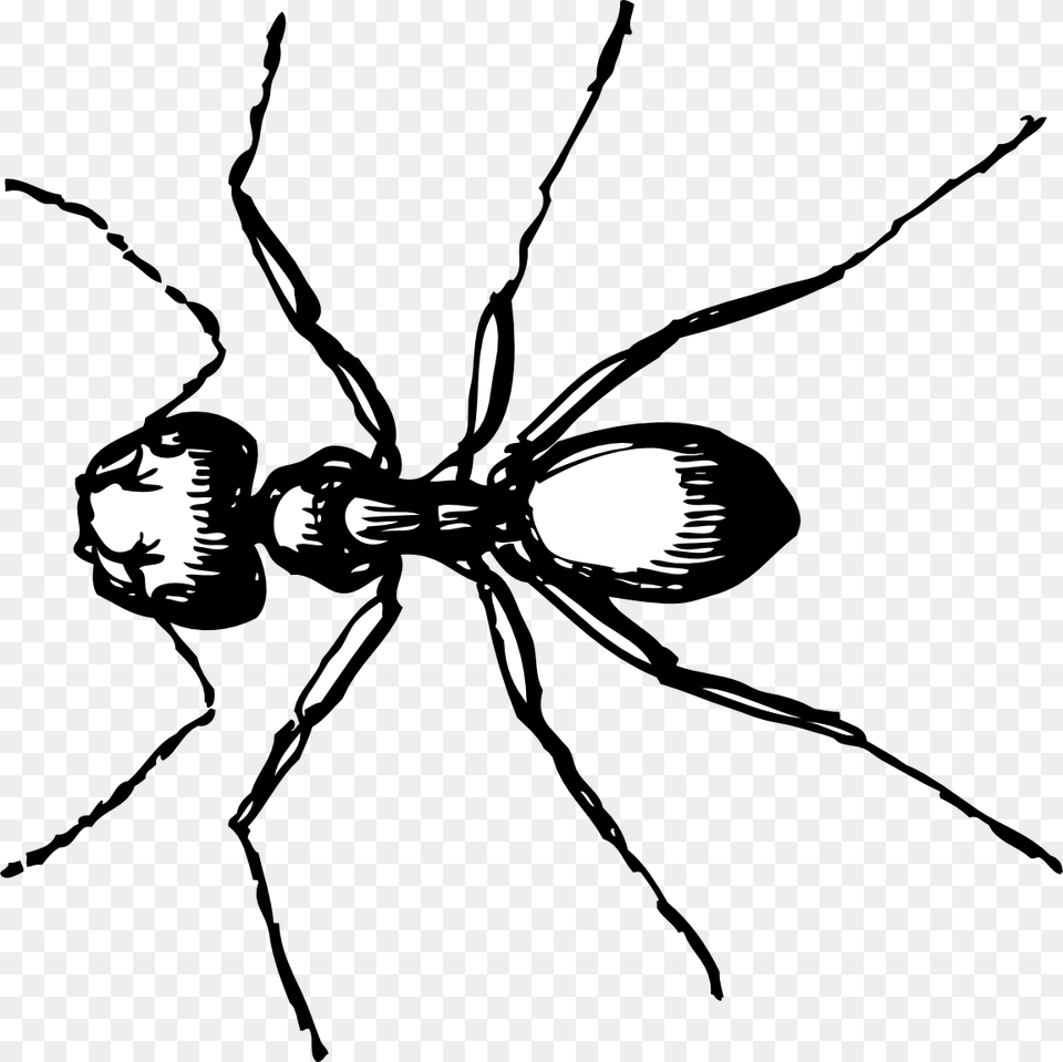 Ants Clipart Line Drawing Ant Clip Art, Lighting, Silhouette, Person, Stencil Free Png