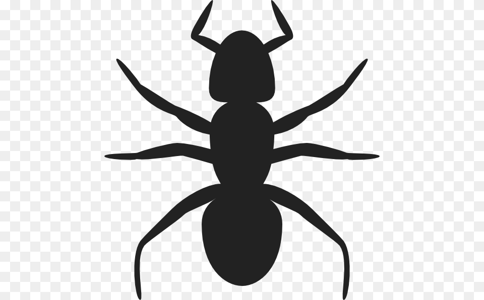 Ants Clipart Shadow, Animal, Ant, Insect, Invertebrate Free Png