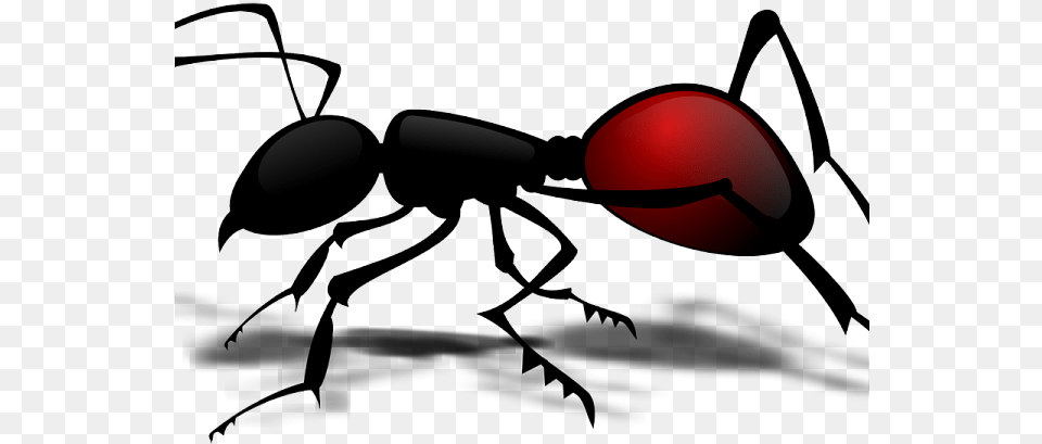 Ants Clipart Vector Ant Body Part Worksheet, Animal, Insect, Invertebrate Free Transparent Png