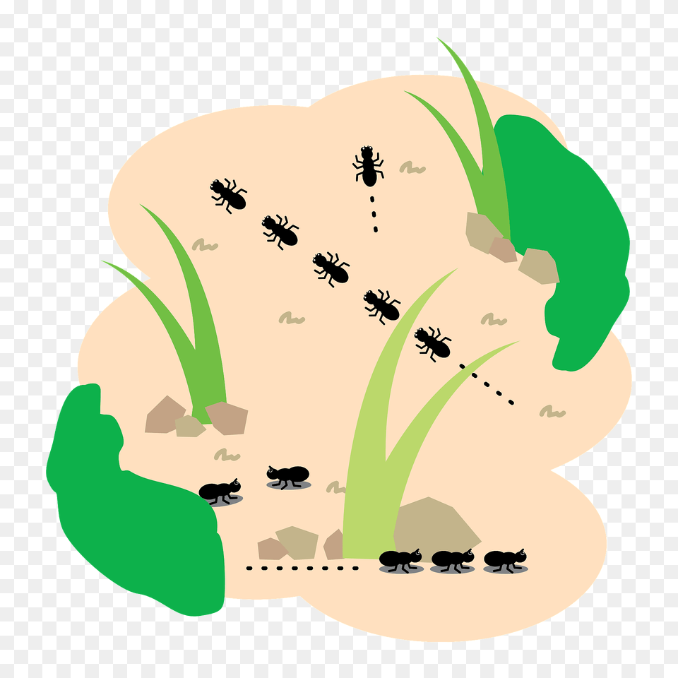 Ants In The Dirt Clipart, Food, Produce Free Png