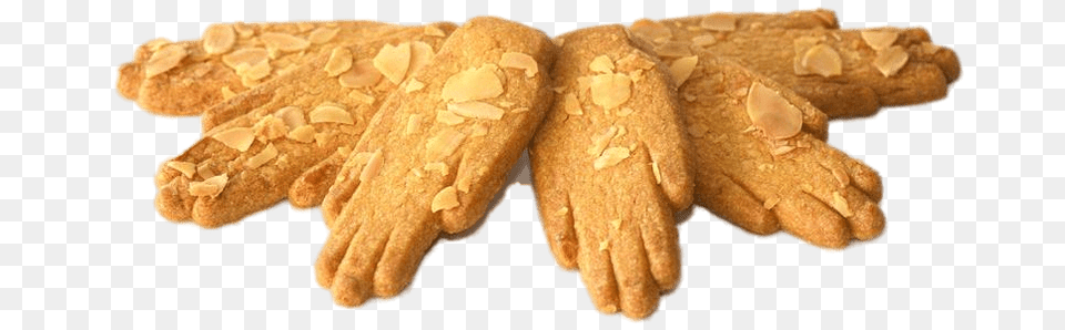 Antwerp Hands, Food, Produce, Nut, Plant Free Png Download