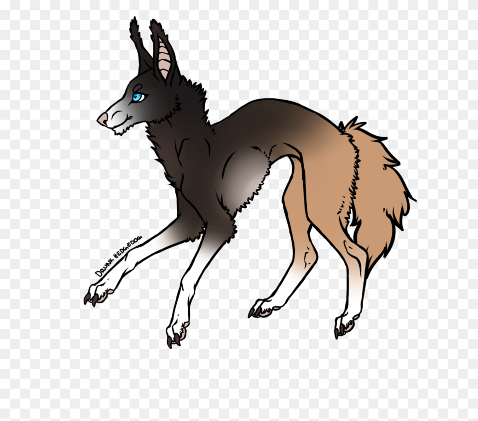 Anubis, Animal, Canine, Wolf, Red Wolf Free Png Download