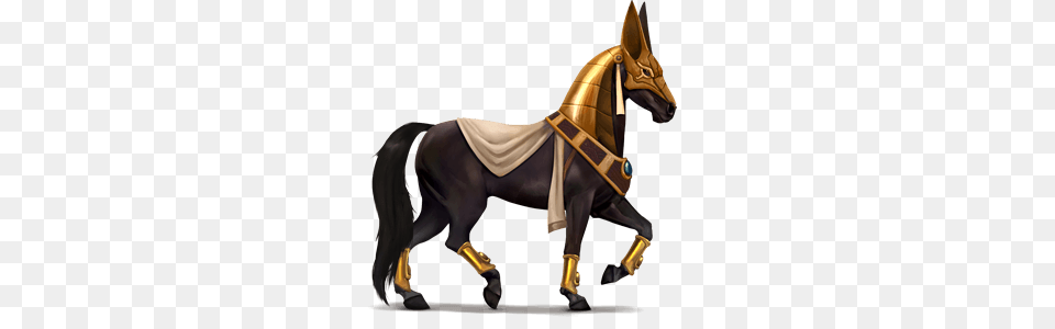 Anubis Divine Horse Anubis, Animal, Mammal Free Png