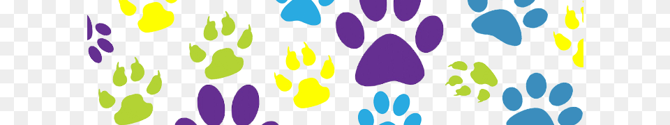 Anuncios De Venta De Perros Caniches Y Yorkshires Dog Paw Print, Art, Graphics Png