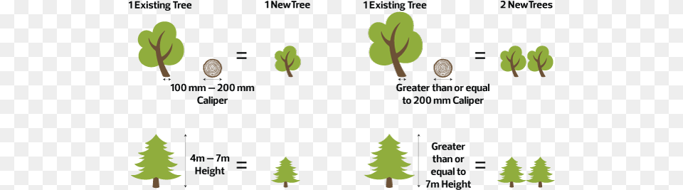 Any New Development Can Receive Credits Towards Their Development Of A Tree, Plant, Body Part, Hand, Person Free Png Download