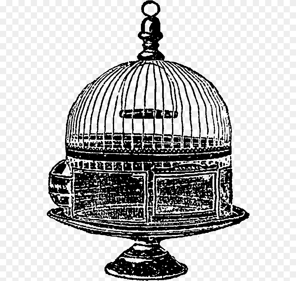 Any Of These Bird Cage Would Make For Wonderful Dome, Lighting, Chandelier, Lamp, Silhouette Png Image