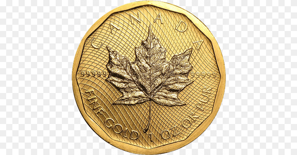 Any Year Canadian Gold Maple Leaf Canadian Gold Maple Leaf, Plant Free Png