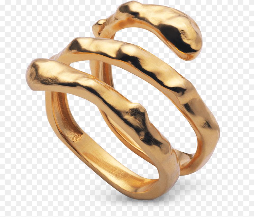Anya Ring Maanesten, Accessories, Gold, Jewelry, Person Png Image