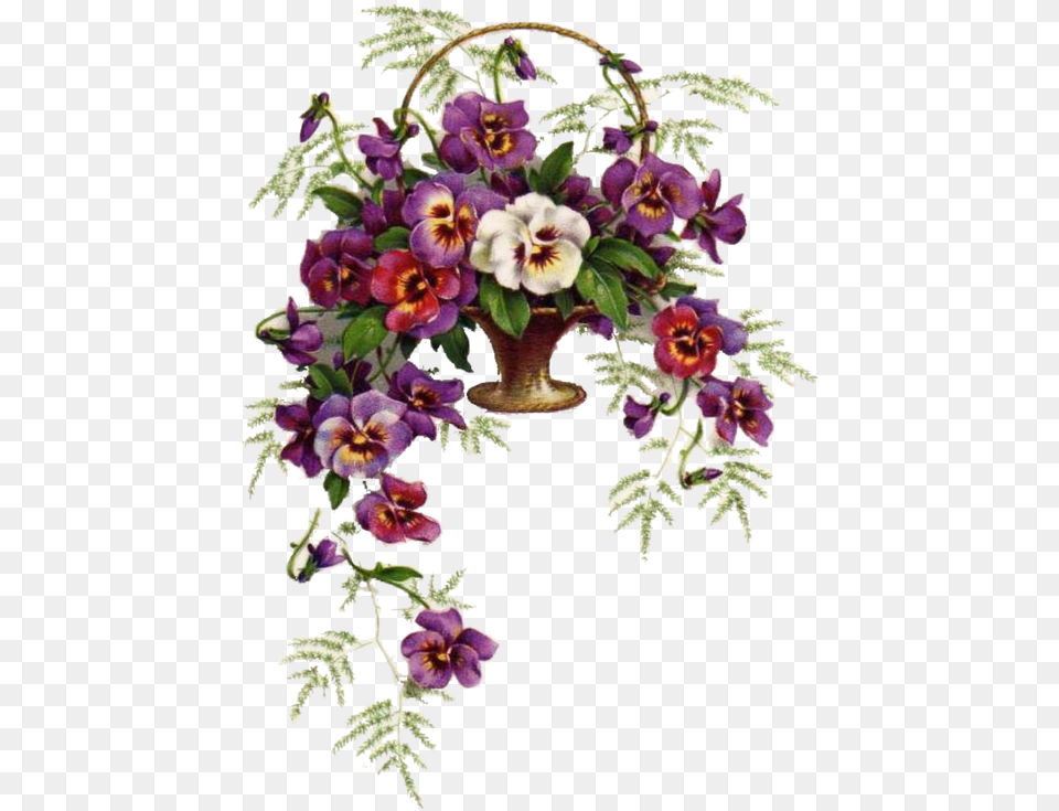 Anyutini Glazki Vishitie Krestom, Flower, Flower Arrangement, Plant, Purple Free Png