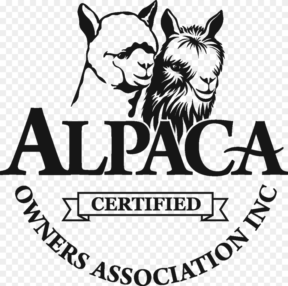 Aoa Certified Ribbon 1200 Px Jpeg, Logo, Animal, Cat, Mammal Free Png Download