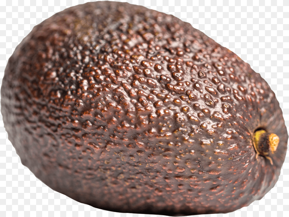 Aocado Image Images Brown Avocado, Food, Fruit, Plant, Produce Free Png