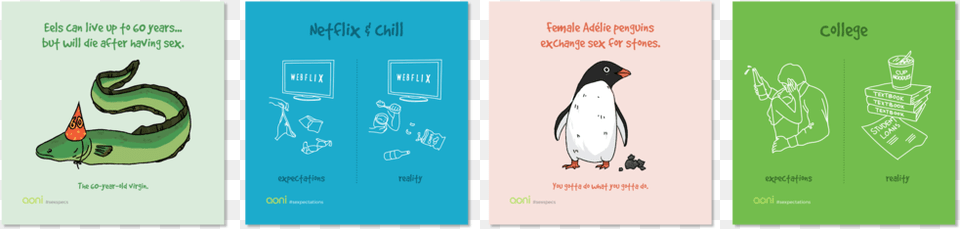 Aoni Condoms Banner Image 01 Gentoo Penguin, Animal, Bird, Person Free Png Download
