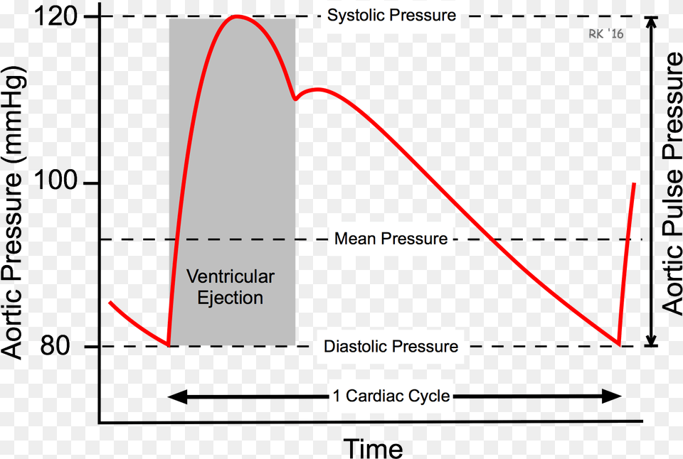 Aortic Pulse Pressure Arterial Blood Pressure Curve, Chart, Plot, Text, Nature Free Png Download