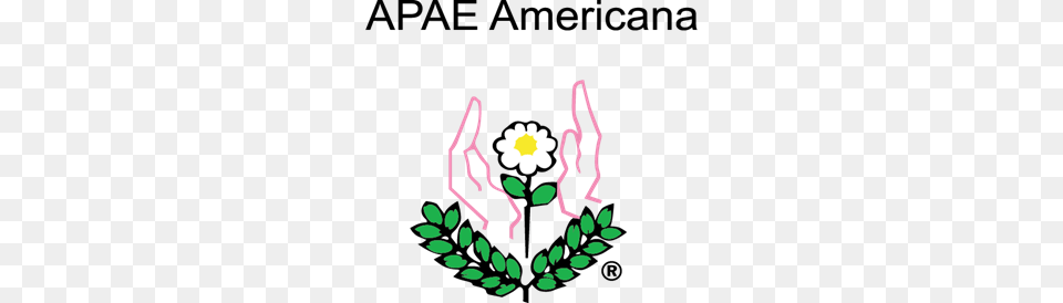 Apae Americana Logo Vector, Flower, Pattern, Plant, Daisy Free Transparent Png