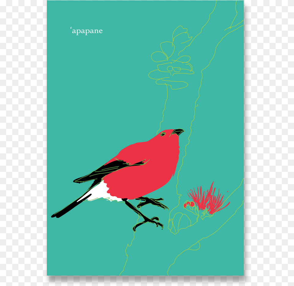 Apapane Notecard Apapane, Animal, Bird, Finch, Beak Free Png Download