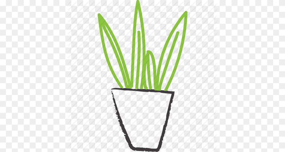Apartment Plant Decorative Green Plant Planter Sketchy Sword, Potted Plant, Grass Png
