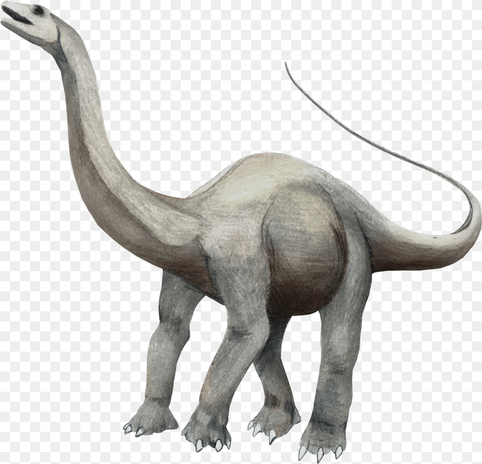 Apatosaurus Lecire Jurassic Dinosaurs, Animal, Antelope, Mammal, Wildlife Png Image