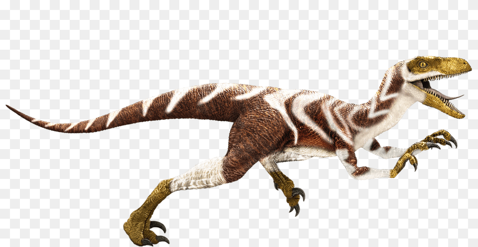 Apatosaurus Velociraptor Dinosaur King Baryonyx Edmontosaurus, Animal, Reptile, T-rex Free Png