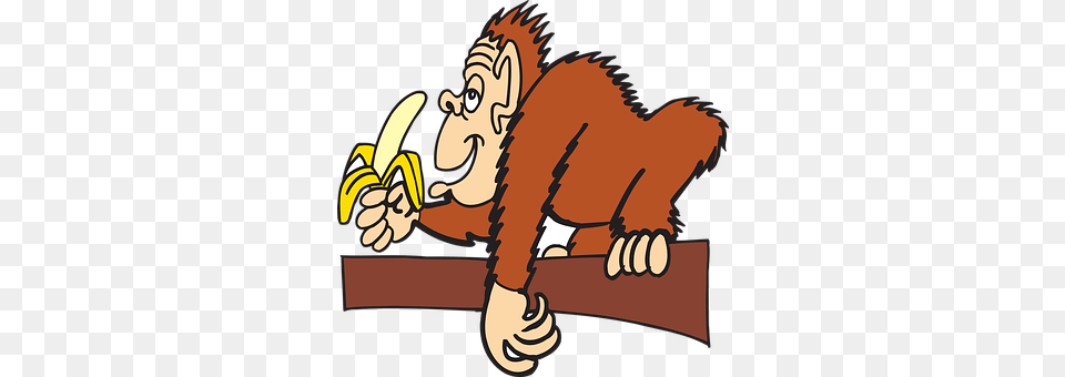 Ape Banana, Food, Fruit, Plant Free Png Download