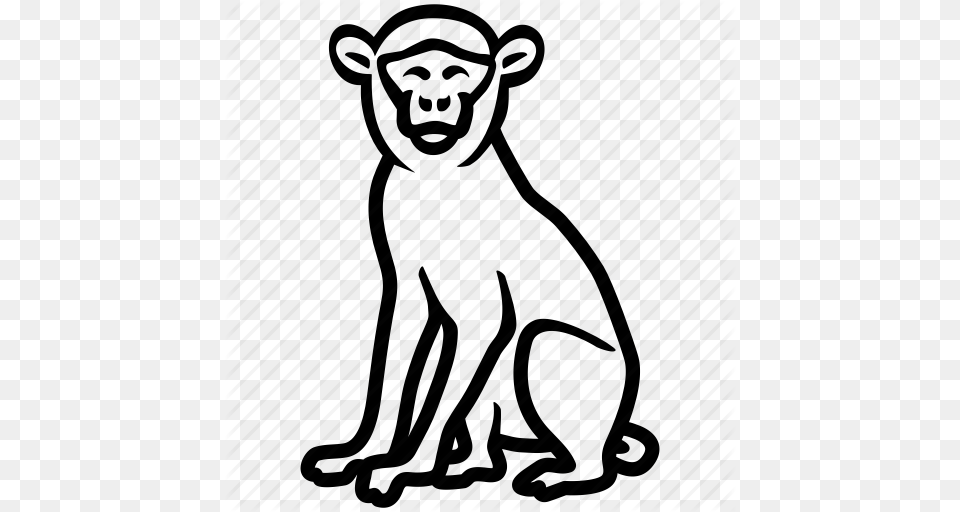 Ape Baboon Macaque Monkey Primate Icon, Animal, Cat, Egyptian Cat, Mammal Free Png