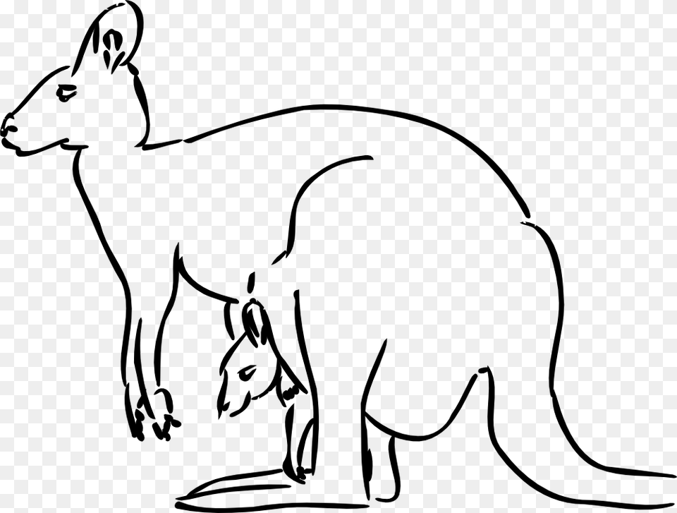 Ape Clipart, Animal, Mammal, Kangaroo Free Transparent Png