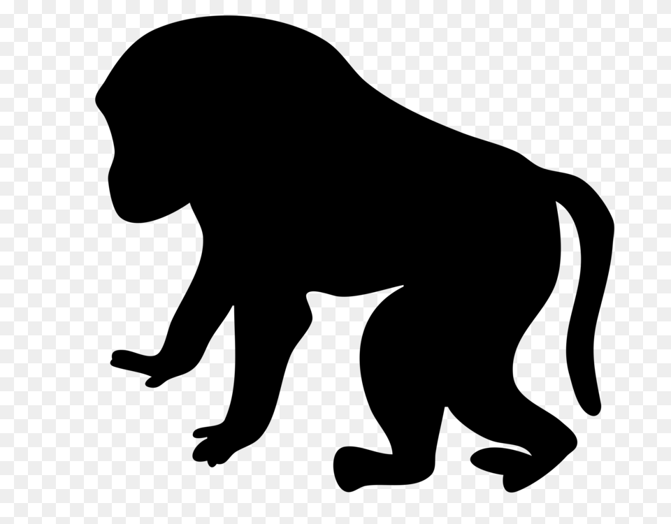 Ape Primate Mandrill Vertebrate Old World Monkeys, Gray Png Image