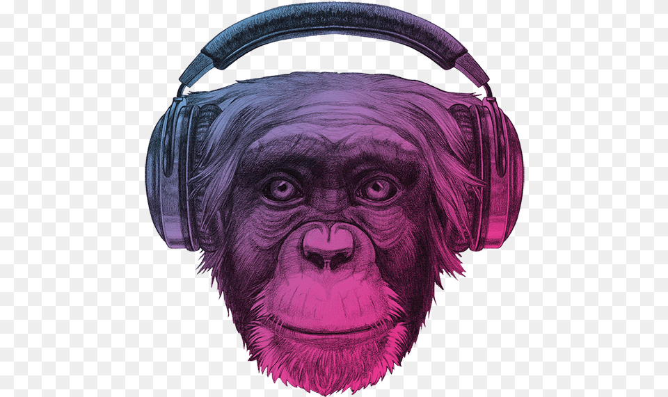 Ape Thinker S Contact Background Chimpanzee With Headphones Colorful, Animal, Mammal, Wildlife, Electronics Free Png