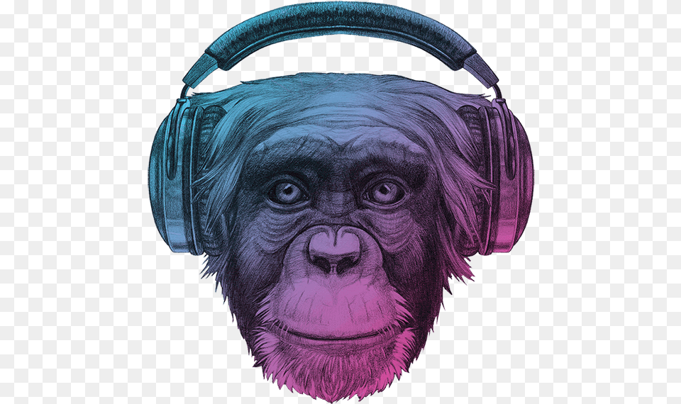 Ape Thinker S Home Background Monkey With Headphones, Animal, Mammal, Wildlife, Electronics Png