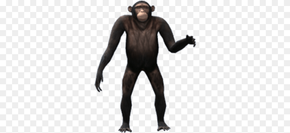 Ape Ugly, Animal, Mammal, Wildlife, Adult Free Transparent Png