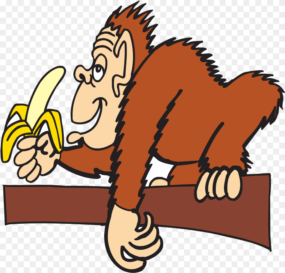 Ape With A Banana Svg Clip Art For Monkey Eating Banana Animated Gif, Produce, Food, Fruit, Plant Png Image