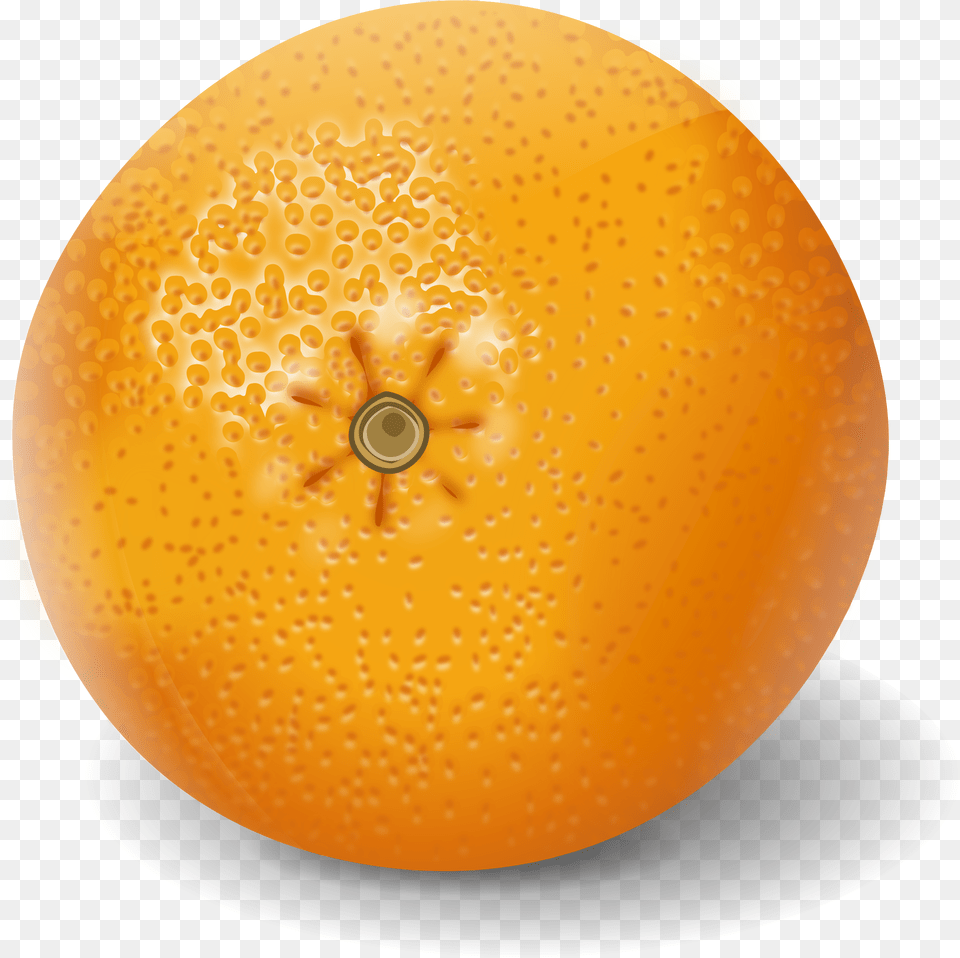 Apelsinas Big Apelsinas, Citrus Fruit, Food, Fruit, Grapefruit Free Png