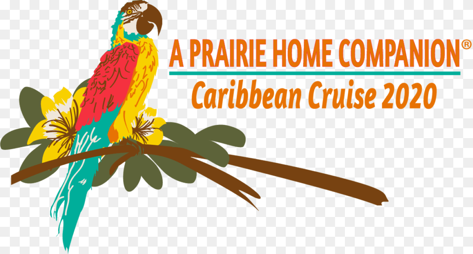 Aphc Cruise 2020 Logo, Animal, Bird, Beak, Parrot Free Transparent Png