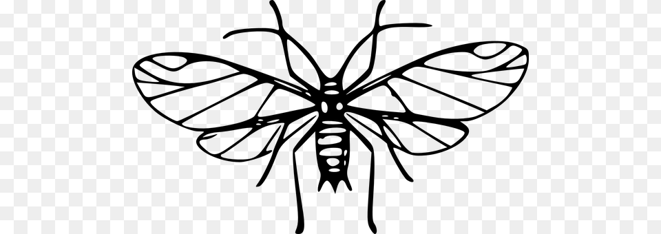 Aphid Gray Free Transparent Png