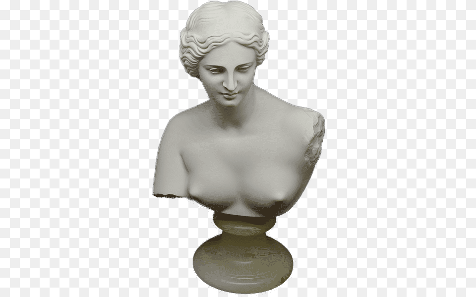 Aphrodite Of Milos H 22 Cm Bust Bust, Adult, Male, Man, Person Free Png