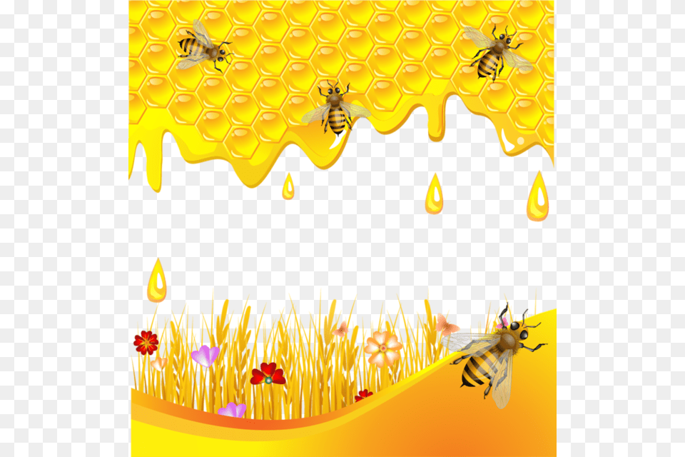 Apicultura Hojas Decoradas Piedras Pintadas Flores Miel Background, Animal, Bee, Honey Bee, Insect Free Png Download